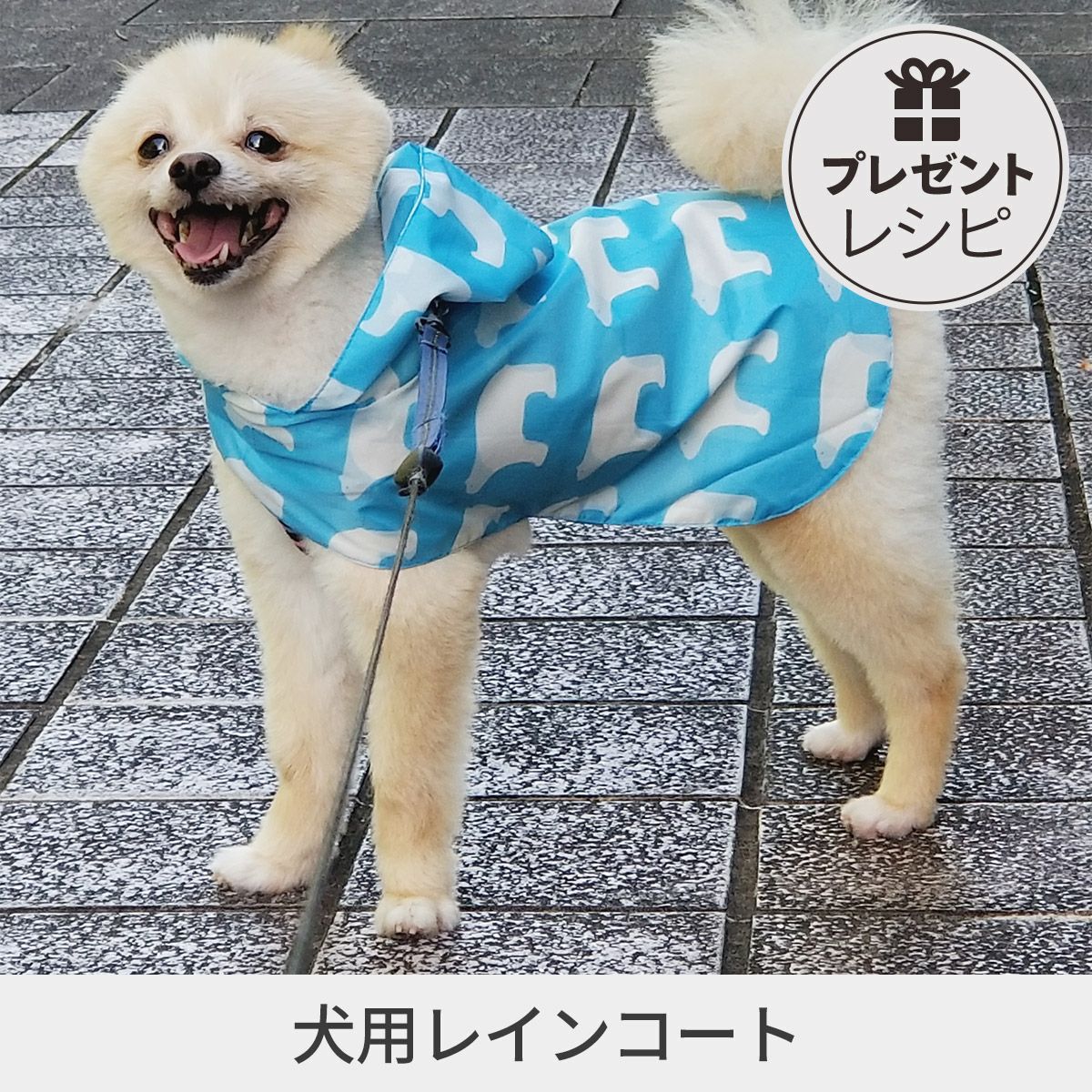 プレゼントレシピ犬用レインコート 小型犬用｜手作り・ハンドメイド